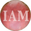 IAM 109 Red