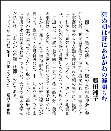 藤田湘子の百句鑑賞・死ぬ朝は