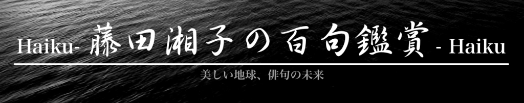 Haiku - 藤田湘子の百句鑑賞 - Haiku