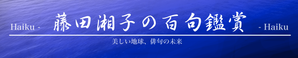 藤田湘子の百句鑑賞