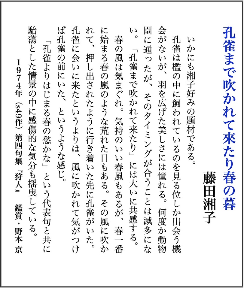 kyo20210324t3s.jpg