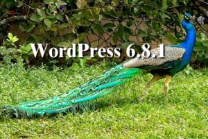 WordPress681_kujaku.jpg