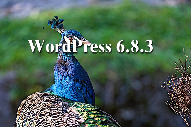 WordPress683_kujaku.jpg