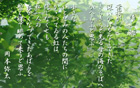 帰 郷 yata-024s.jpeg