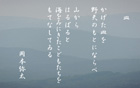 皿 yata-026s.jpeg