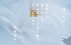 徨ふもの yata-036s.jpeg