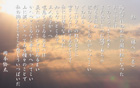 白牡丹図 yata-041.jpeg