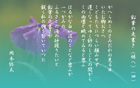 帰 郷 yata-044s.jpeg