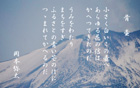 鶏 頭 yata-060s.jpeg