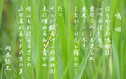 徨ふもの yata-061s.jpeg