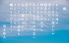 盾 yata-069s.jpeg
